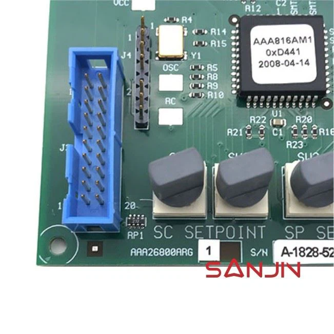 AAA26800ARG1